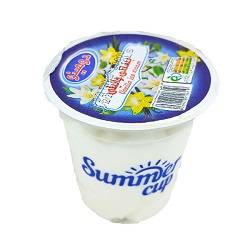 بستنی لیوانی بلند 4000